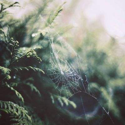 半岛官方下载地址